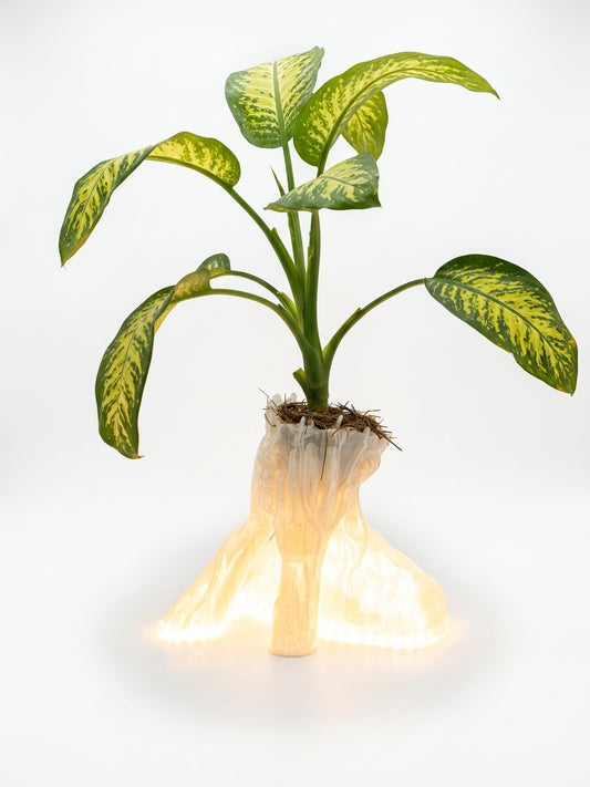Maceta con luz LED impresa en 3D con una planta